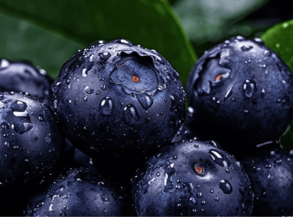 ACAI AND BLUEBERRY EXTRACT