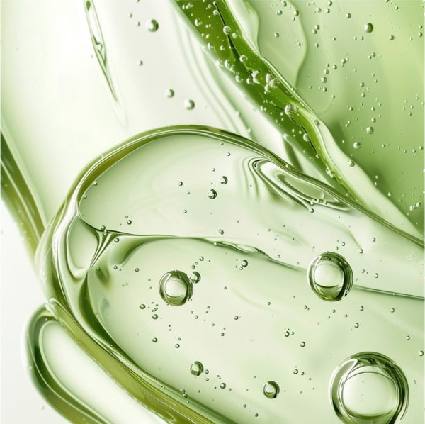 ALOE AND ROSEMARY EXTRACT